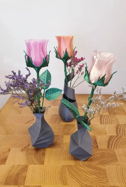 Cành gai có lá đẹp - Image 7