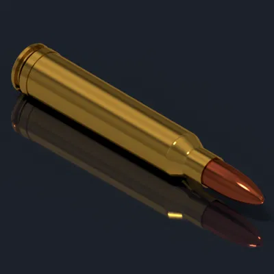 Đạn 7.62mm X 67mm (.300 Winchester Magnum)