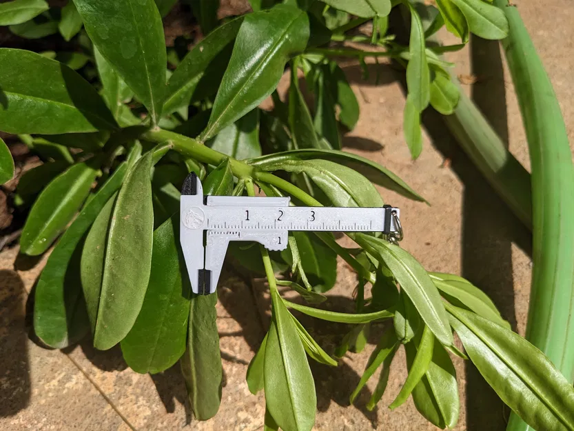 Móc Khóa Thước Cặp Mini - Image 2