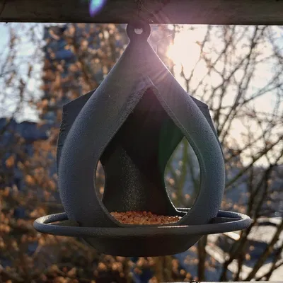 Máng Ăn Cho Chim Hình Giọt Nước