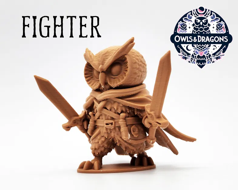 Chiến Binh - Cú Và Rồng (The Fighter - Owls & Dragons) - Image 1