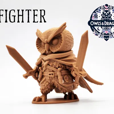 Chiến Binh - Cú Và Rồng (The Fighter - Owls & Dragons)