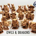 Chiến Binh - Cú Và Rồng (The Fighter - Owls & Dragons) - Thumbnail 9