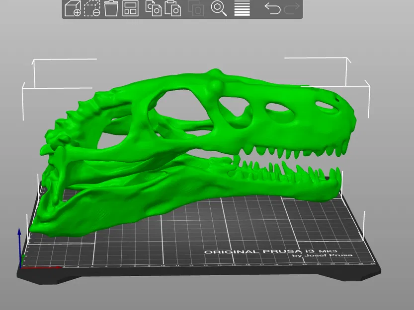 Đầu Khủng Long - Image 2