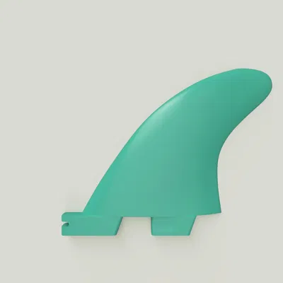 Vây Sau Quad FCS II (FCS 2)