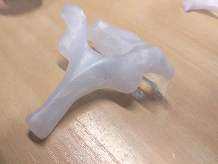 Cột sống người thật, bao gồm đốt sống cổ, ngực và thắt lưng - Image 4