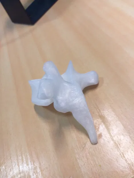 Cột sống người thật, bao gồm đốt sống cổ, ngực và thắt lưng - Image 6