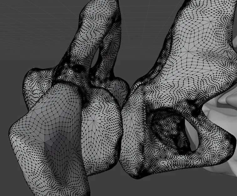 Cột sống người thật, bao gồm đốt sống cổ, ngực và thắt lưng - Image 8