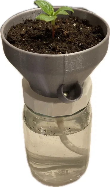 Chậu Tự Tưới Mason Jar - Image 1