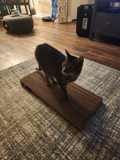 Dụng Cụ Cắt Vải Carton Cho Mèo Dáng Công Thái Học (Không Cần Hỗ Trợ) - Image 5