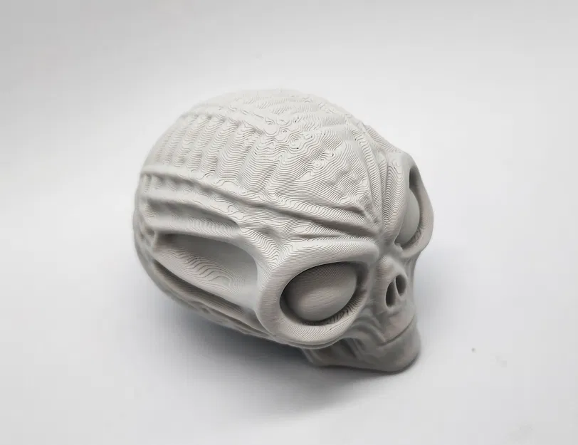 Đầu Lâu Người Ngoài Hành Tinh Ướp Xác - Image 2