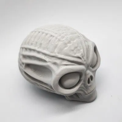 Đầu Lâu Người Ngoài Hành Tinh Ướp Xác