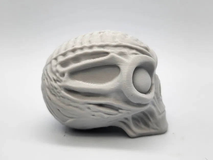 Đầu Lâu Người Ngoài Hành Tinh Ướp Xác - Image 3