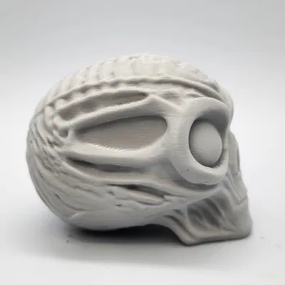 Đầu Lâu Người Ngoài Hành Tinh Ướp Xác