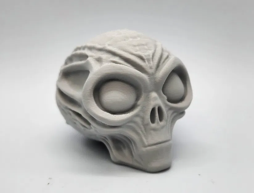 Đầu Lâu Người Ngoài Hành Tinh Ướp Xác - Image 4