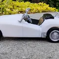 Triumph TR2 năm 1954 của Designer Ed van der Heijden - Thumbnail 5
