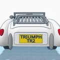 Triumph TR2 năm 1954 của Designer Ed van der Heijden - Thumbnail 23