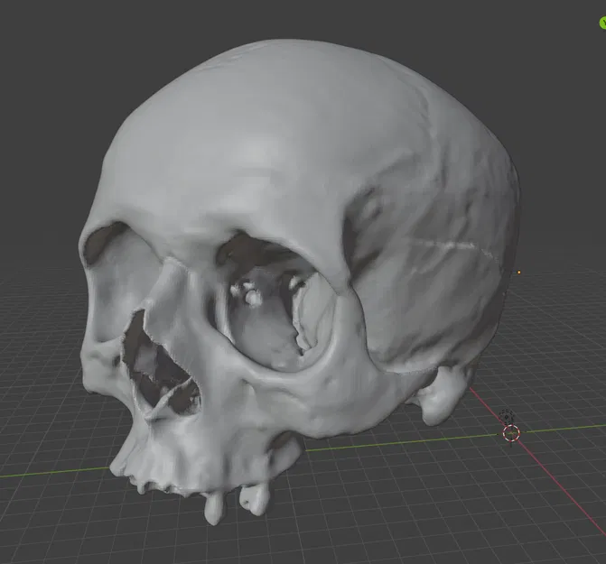 Mô hình 3D Hộp Sọ Người - Image 1