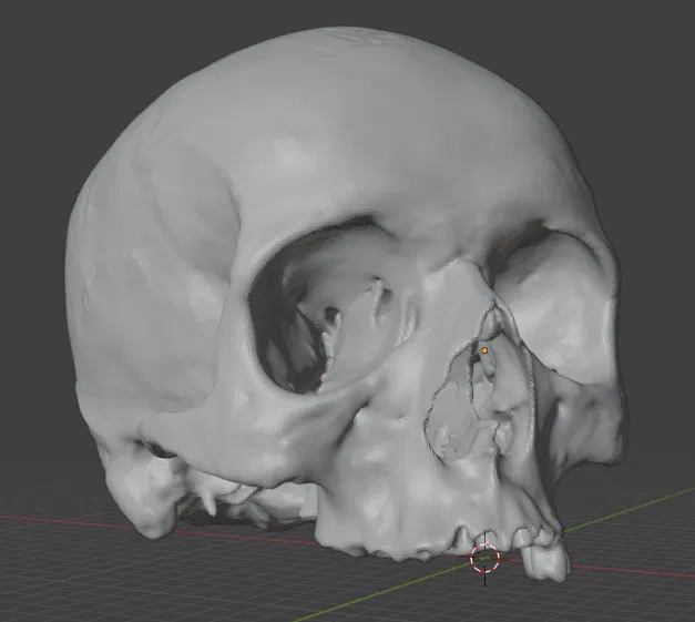 Mô hình 3D Hộp Sọ Người - Image 3