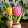 Khuôn in 3D "Tulip Clicker" - Đồ chơi văn phòng vui nhộn - Thumbnail 2