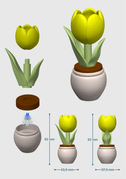 Khuôn in 3D "Tulip Clicker" - Đồ chơi văn phòng vui nhộn - Image 5