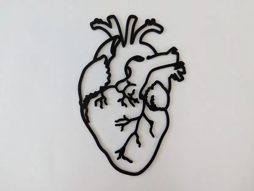 Mô hình Tim người dạng Khung - Image 1