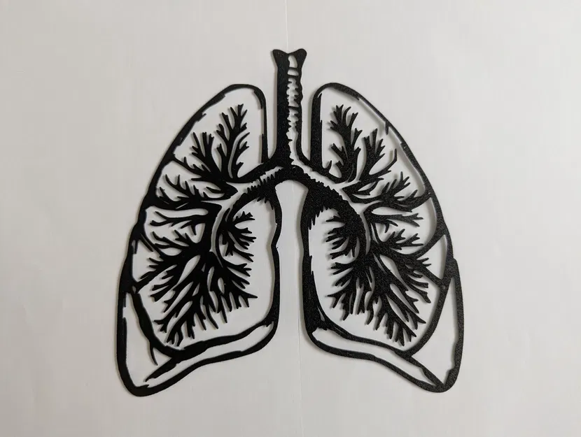 Mô Hình Phổi Người Vẽ Viền / Tranh Treo Tường - Image 1