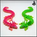 Rồng Kỳ Nhông V2 - Dragon Axolotl V2 - Thumbnail 2
