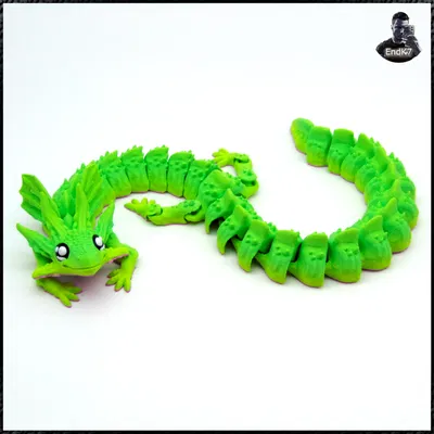 Rồng Kỳ Nhông V2 - Dragon Axolotl V2