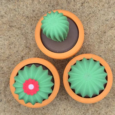 Mô Hình Xương Rồng Fidget Clicker