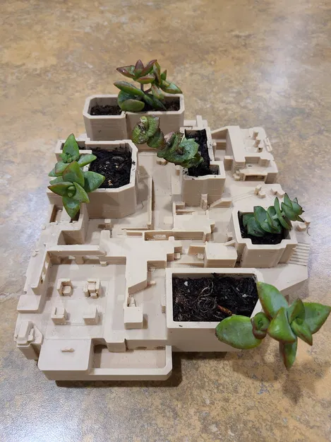 Chậu cây - Image 4