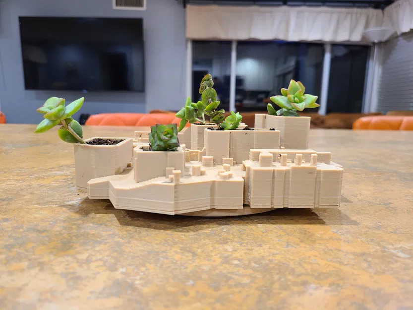 Chậu cây - Image 5