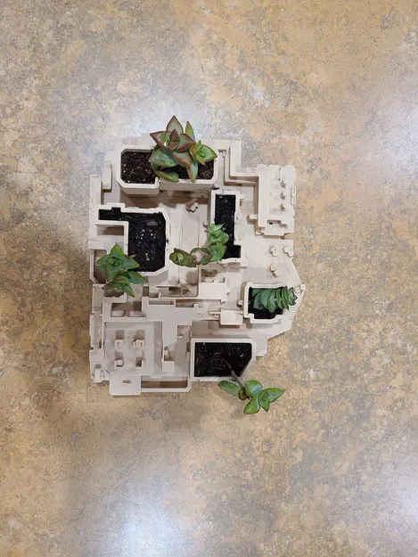 Chậu cây - Image 6