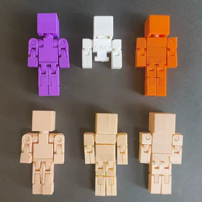 Mô hình VoxelMan V2