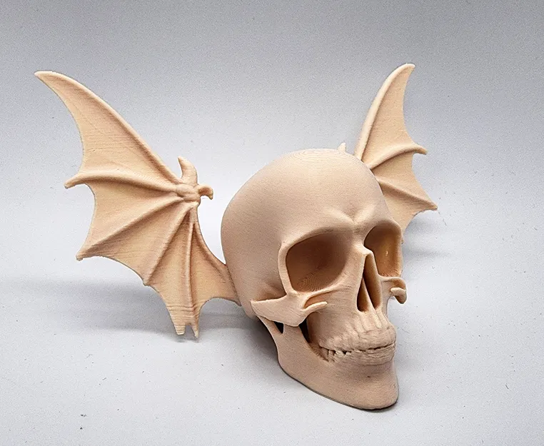 Đầu Lâu Cánh Dơi - Image 1