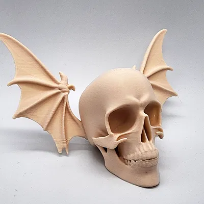 Đầu Lâu Cánh Dơi