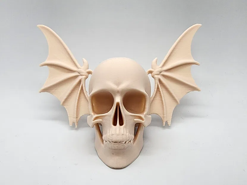 Đầu Lâu Cánh Dơi - Image 2