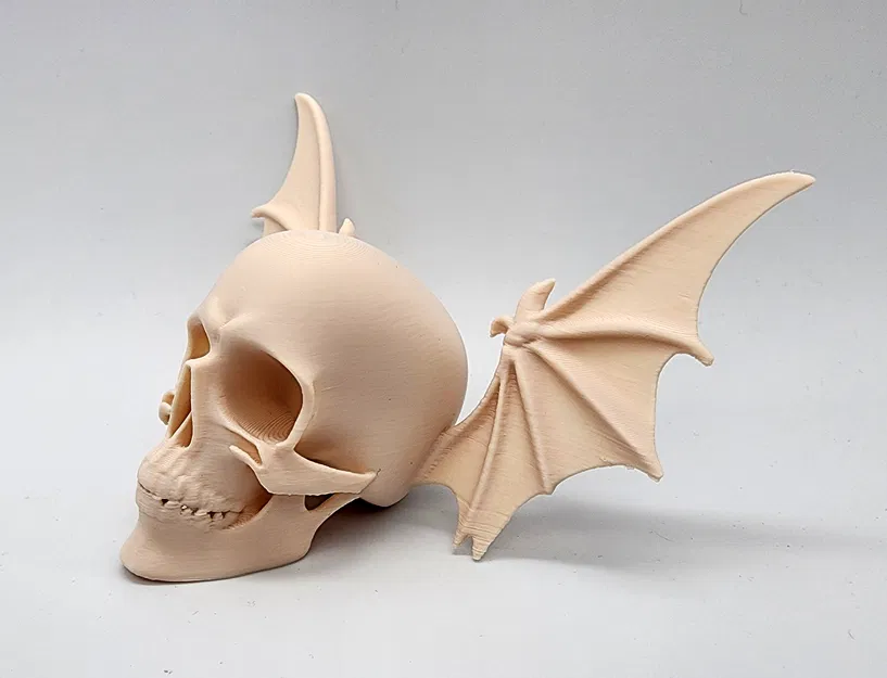 Đầu Lâu Cánh Dơi - Image 3