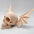 Đầu Lâu Cánh Dơi - Thumbnail 3