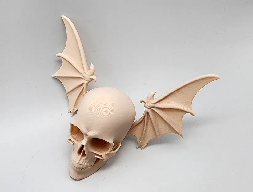 Đầu Lâu Cánh Dơi - Image 4