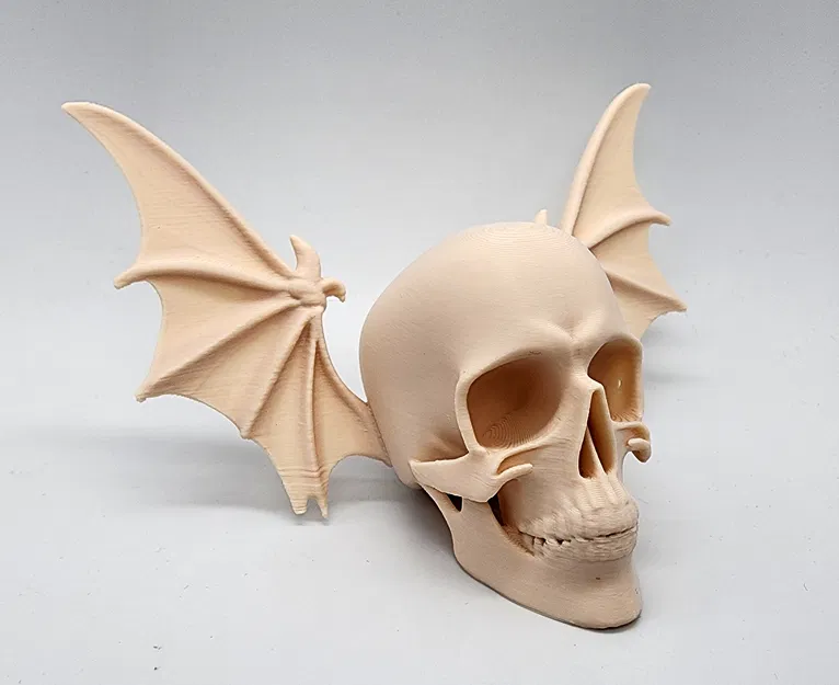 Đầu Lâu Cánh Dơi - Image 5