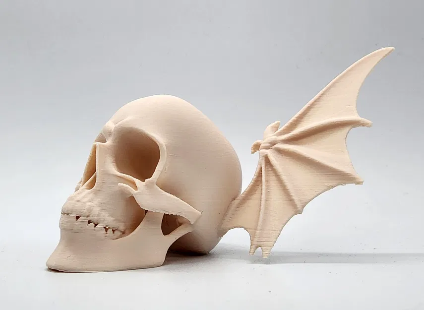 Đầu Lâu Cánh Dơi - Image 6