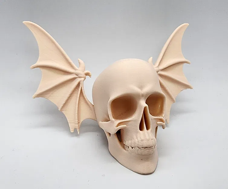 Đầu Lâu Cánh Dơi - Image 7