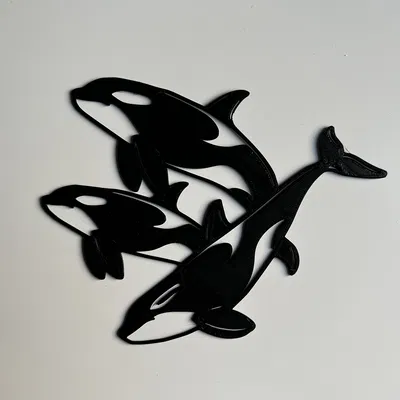 Nghệ Thuật Treo Tường Cá Voi Sát Thủ Số 2