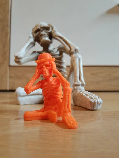 Bộ Xương Đội Dưa Lưới - Image 1