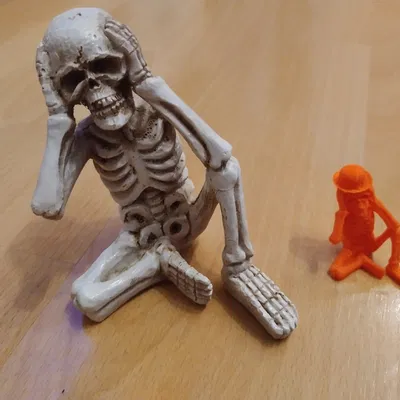 Bộ Xương Đội Dưa Lưới