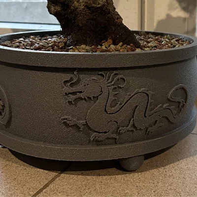 Chậu Bonsai Rồng
