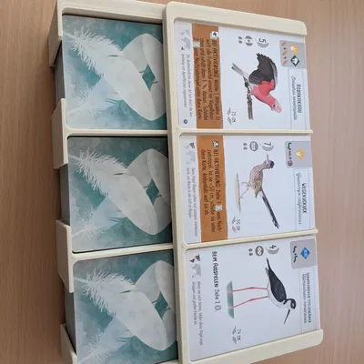 Hộp đựng thẻ và khay chim Wingspan có nam châm