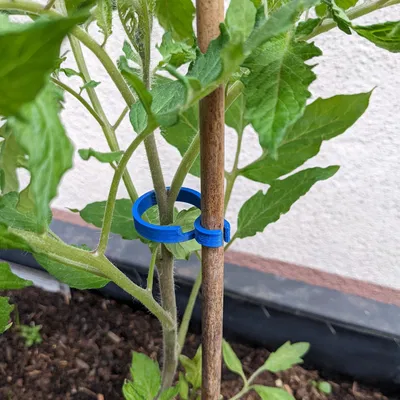 Kẹp Cây Cà Chua Điều Chỉnh Được