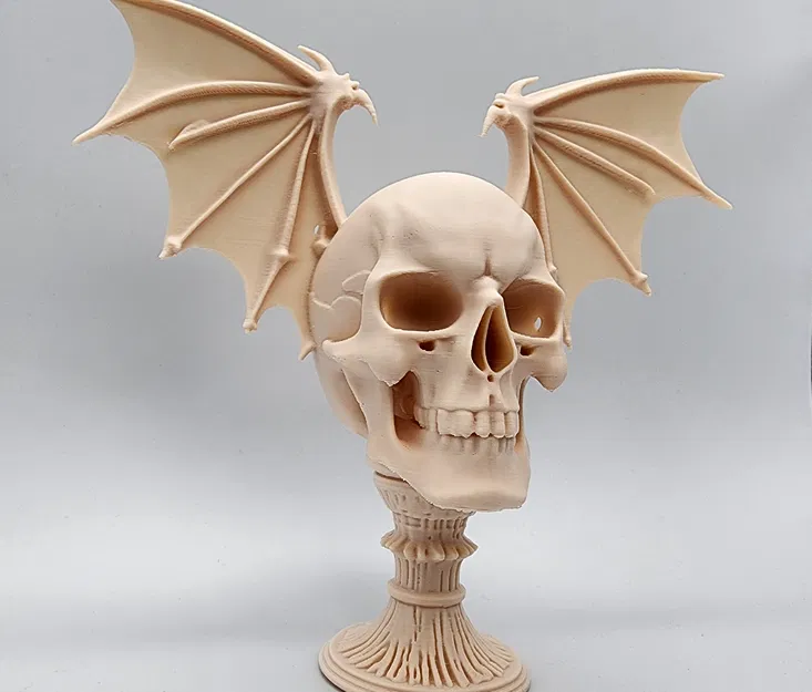 Đầu Lâu Rồng Có Cánh Trên Bệ - Image 3